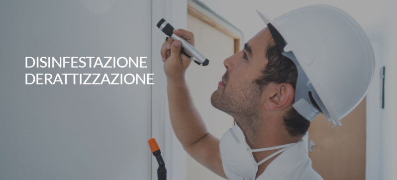 Images Disinfestazione Dn Il Gioiello