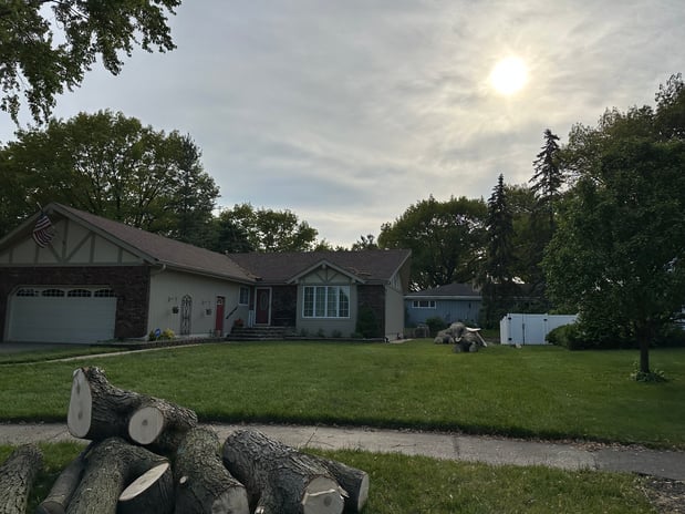 Images 33 Tree Service