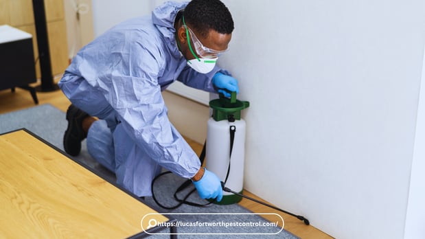 Images Pest Control Fort Worth