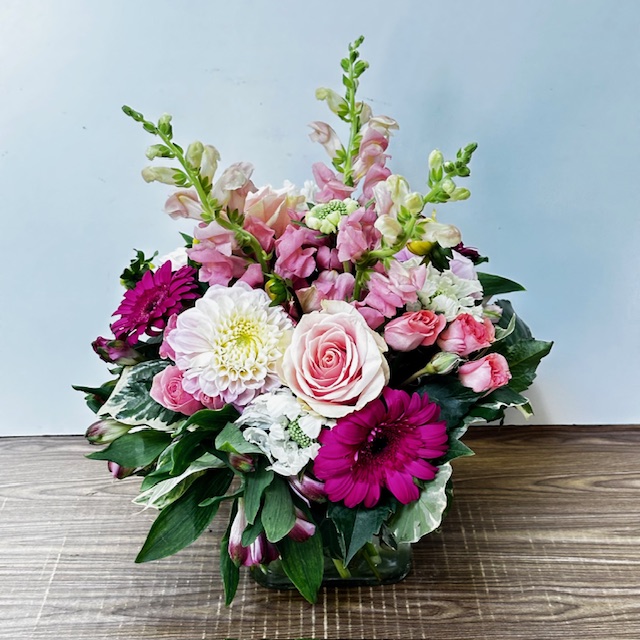 Images Jane's Roses & Flowers