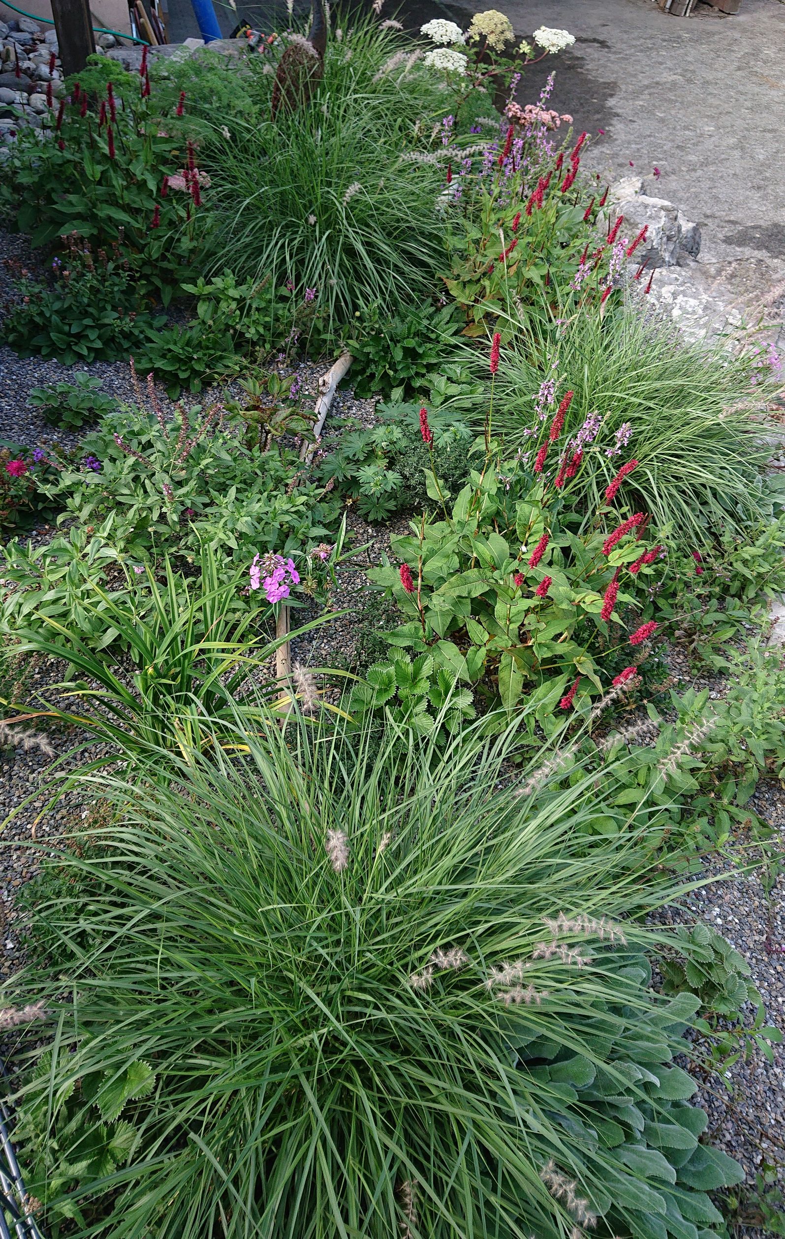 Bilder Gartenbau Meister AG