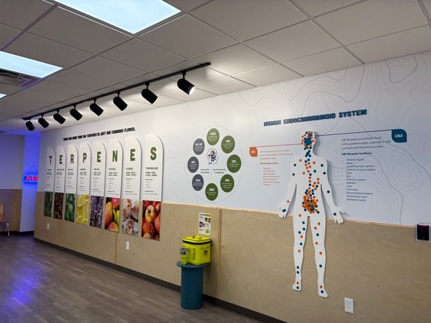 Images The Landing Dispensary