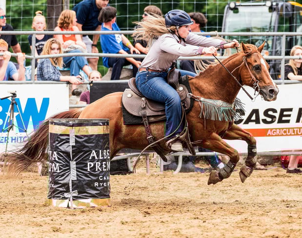Images Equine Coach, LLC