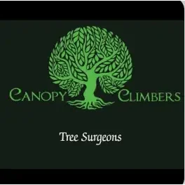 company logo