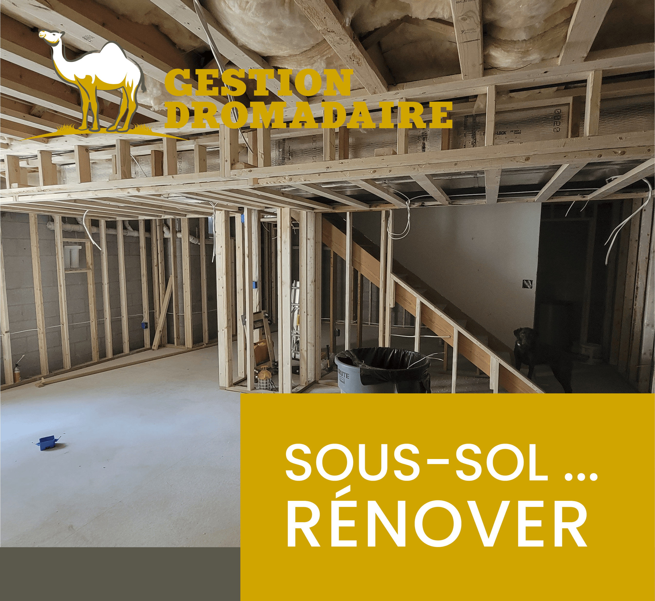 Images Gestion Dromadaire Inc