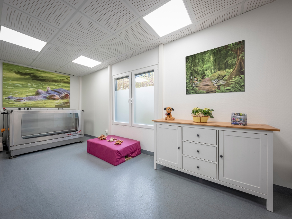 Bilder Tierarzt Limeshain, Kleintierzentrum Kilb&Team