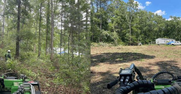 Images Magana Tree Service