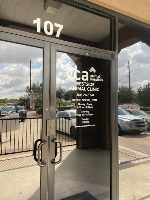 Image 9 | VCA Westside Animal Clinic