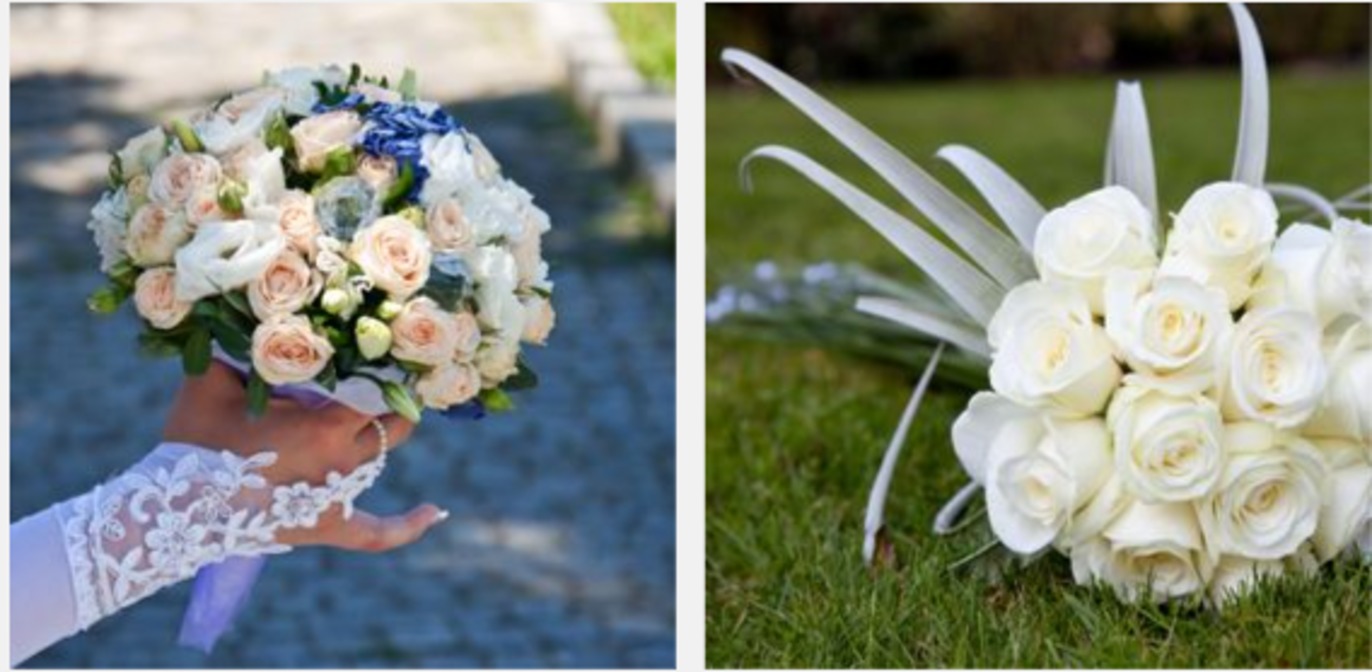 Images Skåneblommor AB