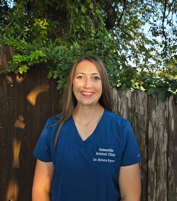 Images Gatesville Animal Clinic, LLC