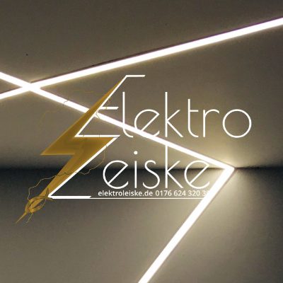 Logo Elektro Leiske