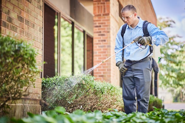 Images Anthem Pest Control