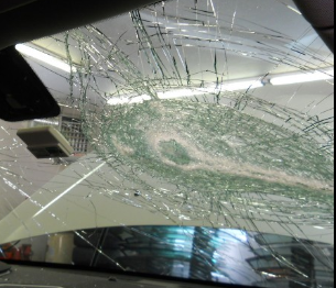 Images Roy's Auto Glass Inc