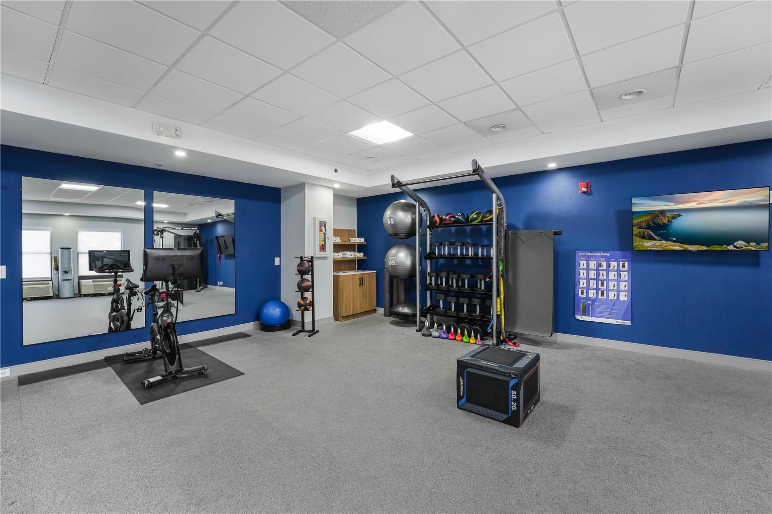 Health club  fitness center  gym 