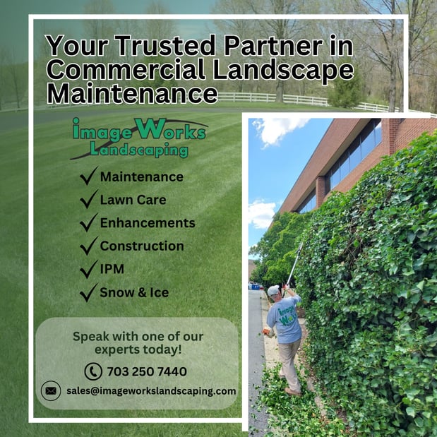Images Image Works Landscaping