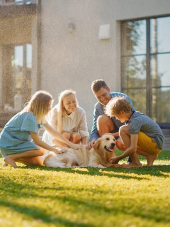 Images Rooted Lawn & Landscape