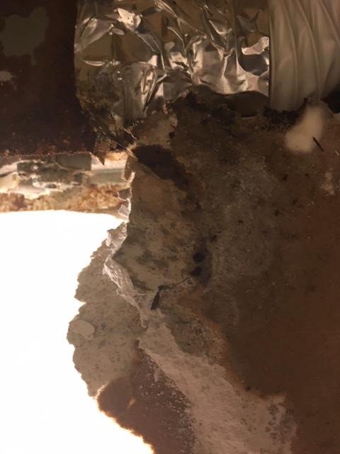 Mold can be very harmful to you and the people on your property. If you think you might have a mold problem, give SERVPRO of Boston Downtown / Back Bay / South Boston a call today!