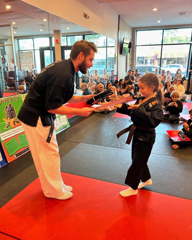 Images SDSS Martial Arts of Newton