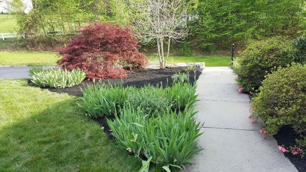 Images Leone's Landscaping & Construction