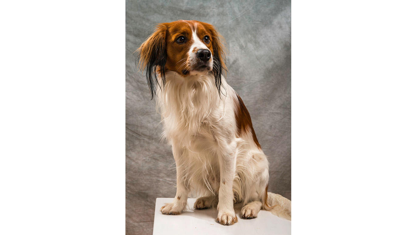 Images Dj Foto och Video - Fotograf Umeå