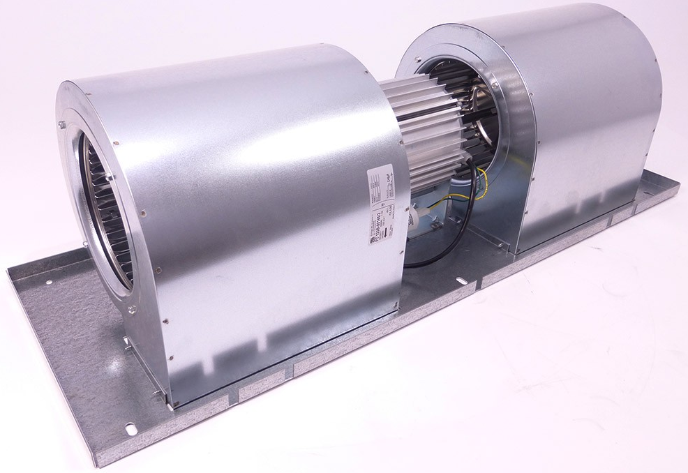 Wolfgang Graf, Albertgasse 11 in Wien