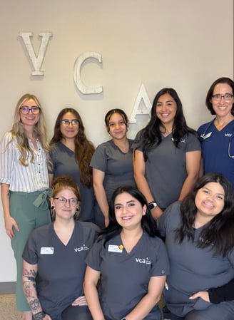 Images VCA Valley Animal Hospital of Sahuarita