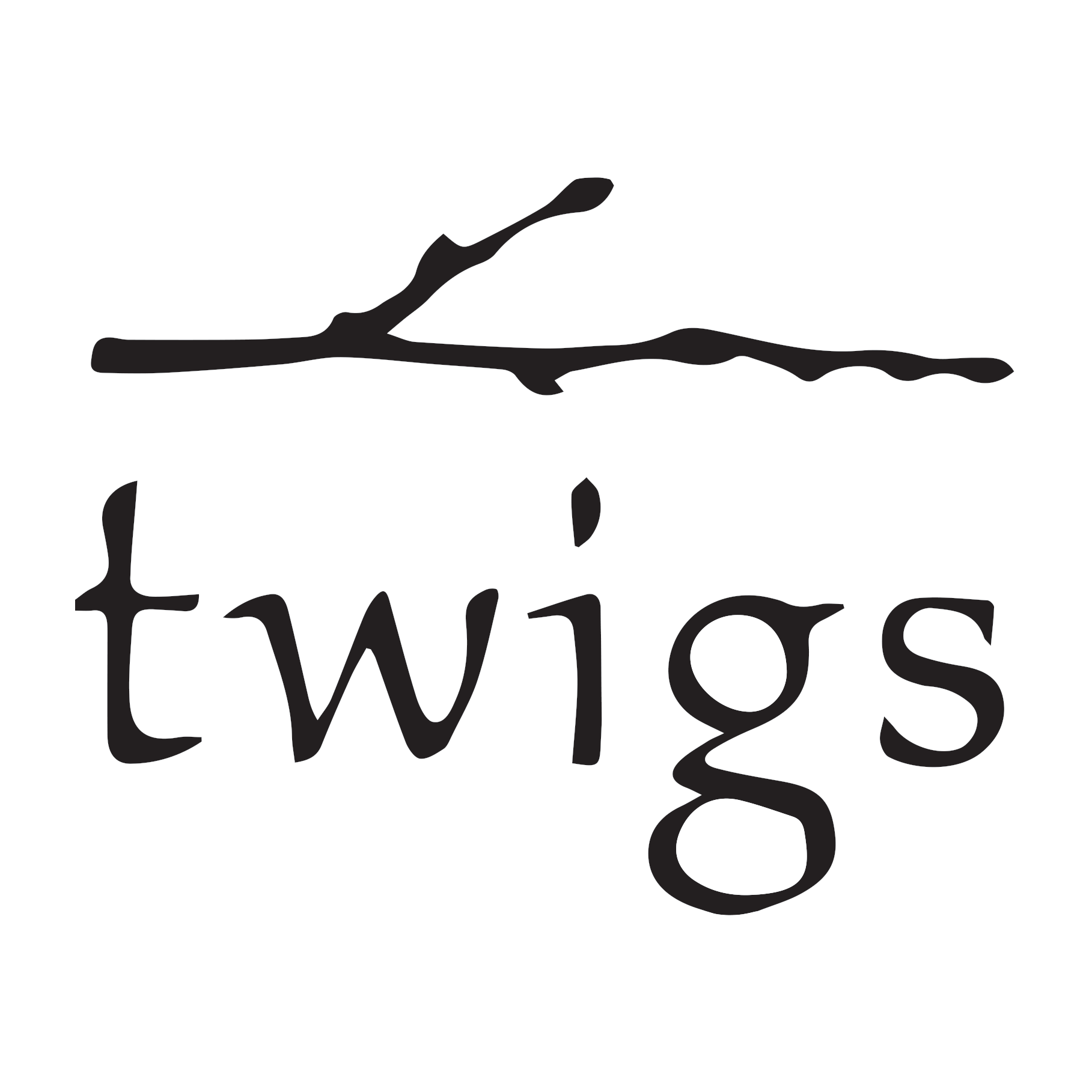 Twigs | Hilldale Logo