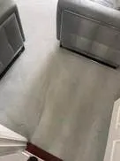 Images Elite Carpet and Upholstery Cleaning Ltd