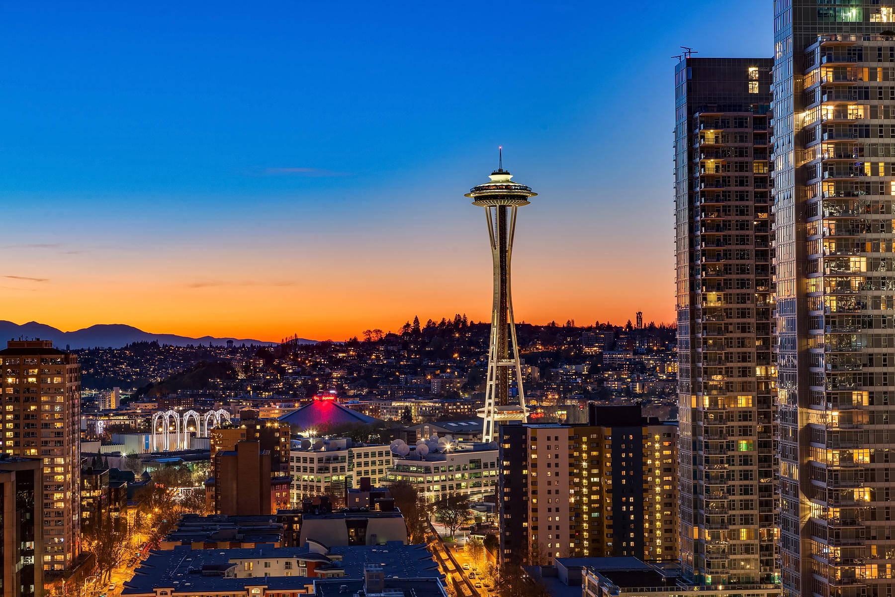 Night Lights The Martin Apartments Seattle (833)878-0856