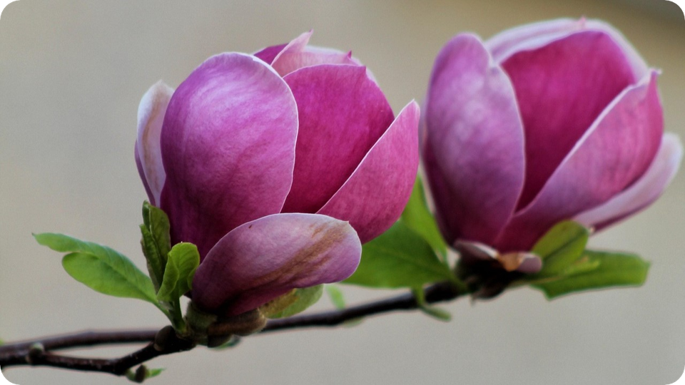 Bilder lebensfreudig.ch