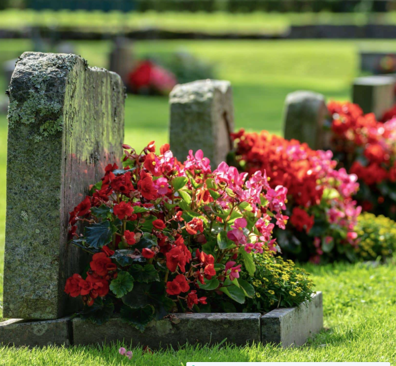 Images Onoranze Funebri Bona Fratelli - Casa Funeraria