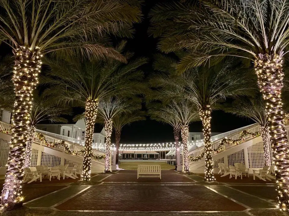 The Lighting Company