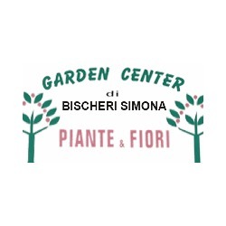 Vivaio Garden Center Termeszetes Viragok Es Novenyek