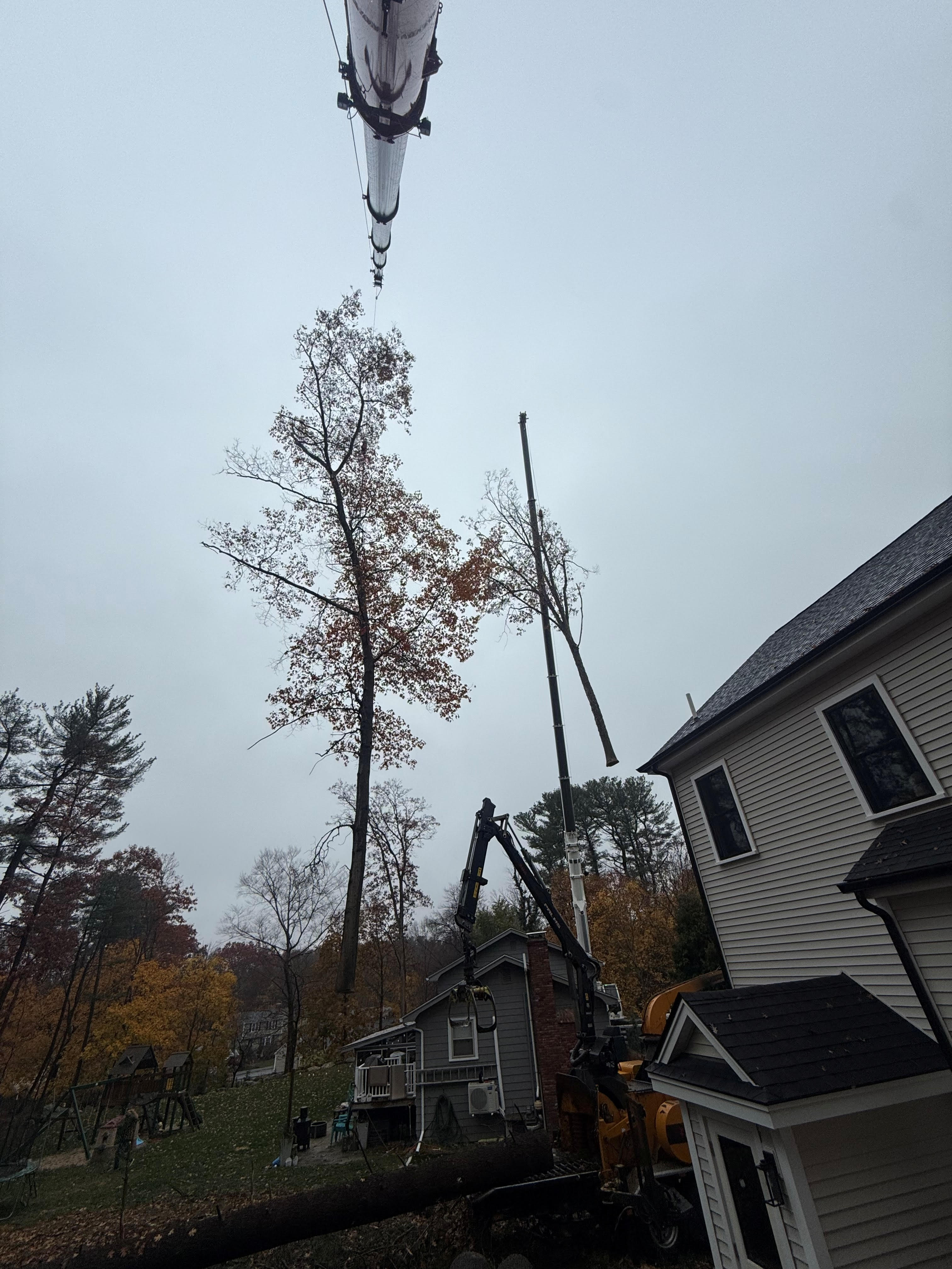 Martel Crane Service & Tree Removal Image