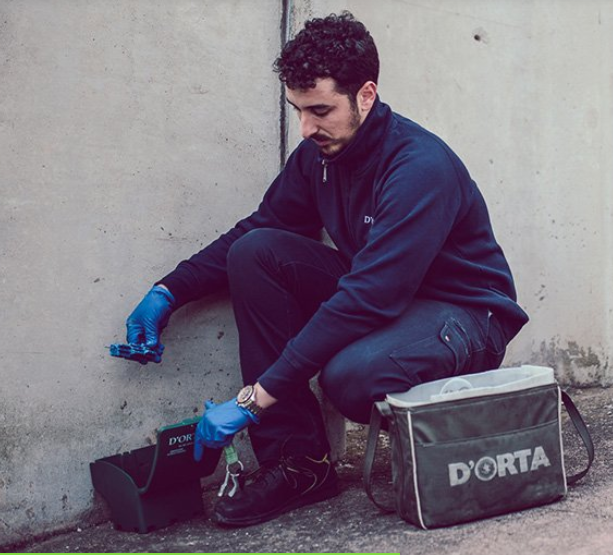 Images Derattizzazioni e Disinfestazioni D'Orta