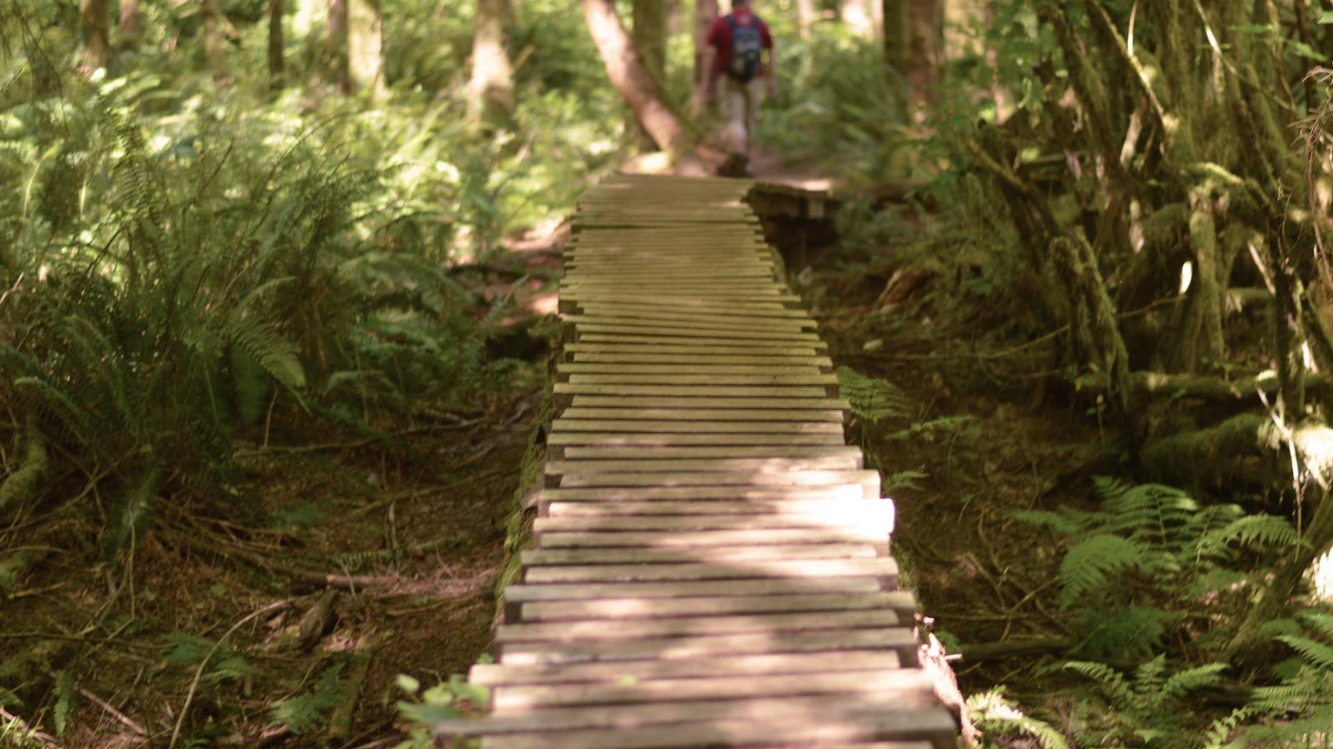 Hiking abounds nearby at The Black Diamond Open Space Park, Henry&rsquo;s Ridge Natural Area, and Flaming Geyser State Park