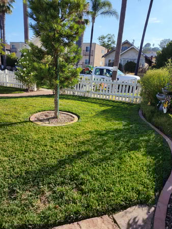 Images Kniffing's Landscape