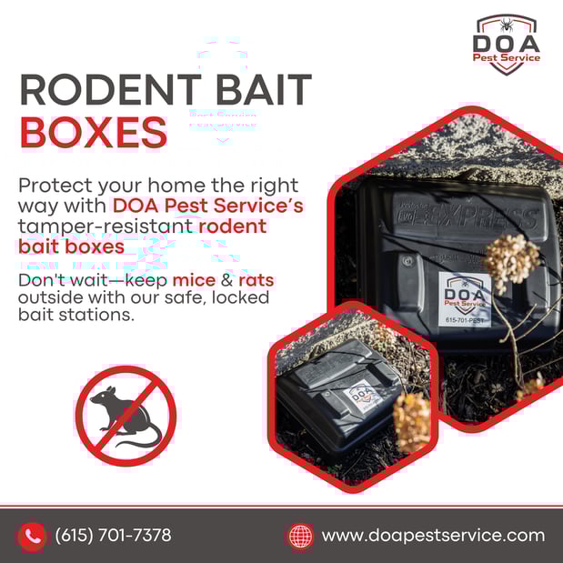 Images Nashville Pest Control - DOA Pest Service