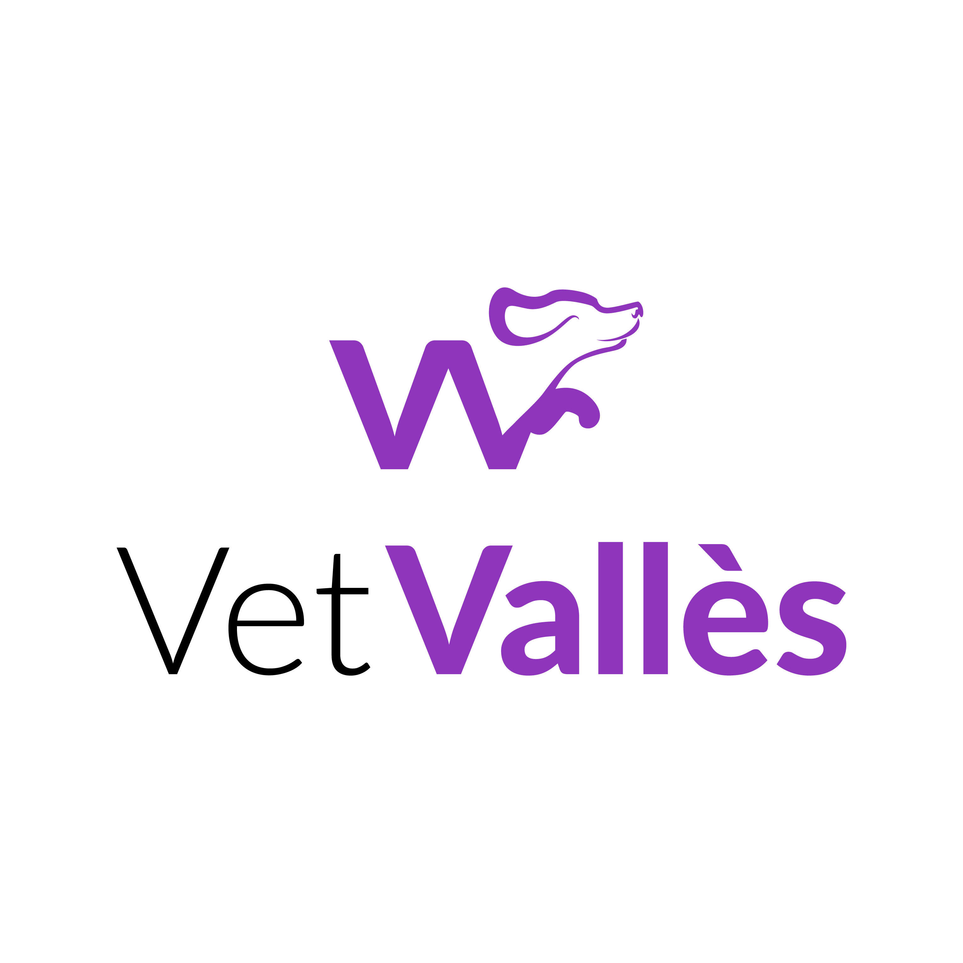 Vet Valles Logo