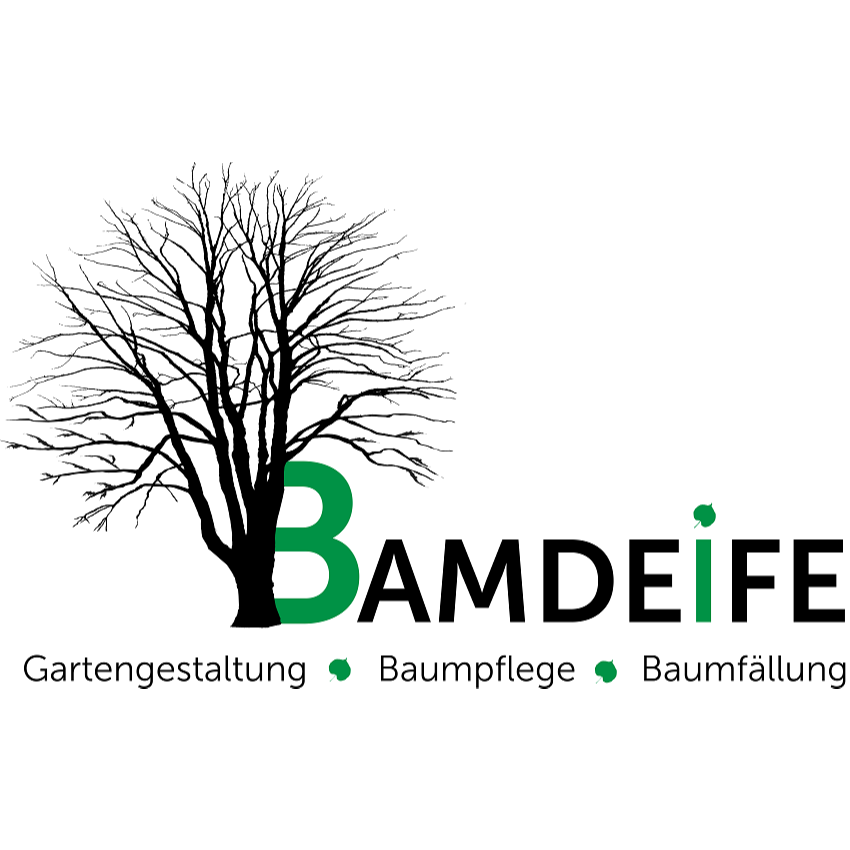 Bamdeife Logo