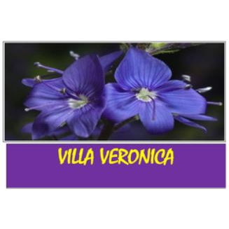 Villa Veronica Logo