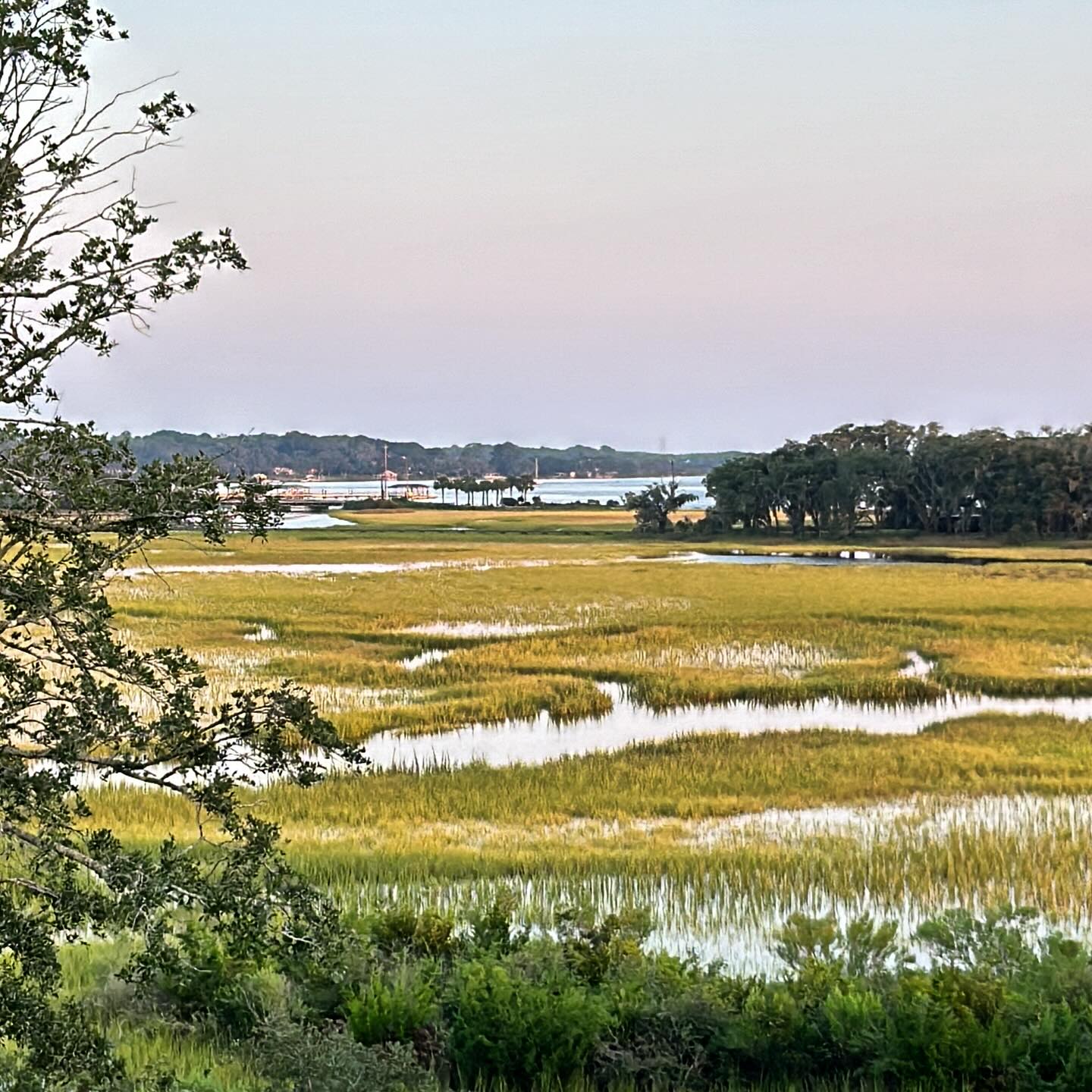 Lea Austen Photography Logo