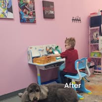 Lux Fur Pet Salon Image