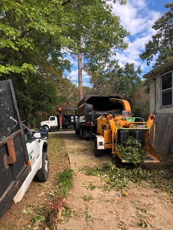 Images Broken Branch Tree Service LLC