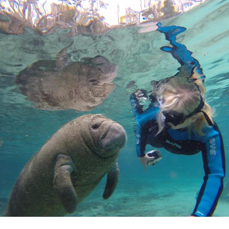 Manatee Fun Tours
