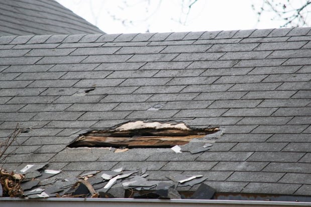 Images First Response Restoration, Water Damage Minneapolis Specialist