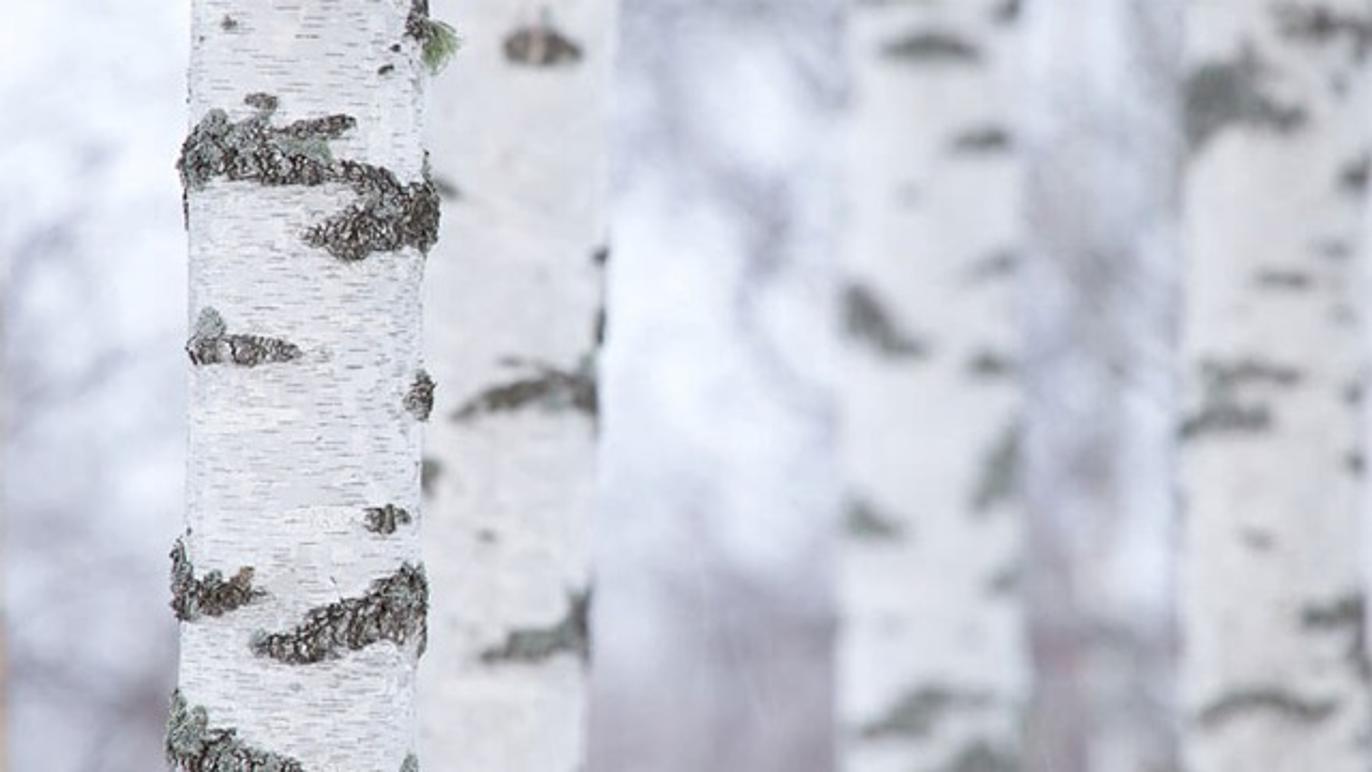 Images Göteborgs Kemanalys