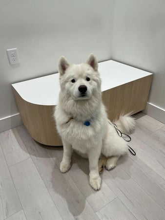 Images Petfolk Veterinary & Urgent Care - Mansfield