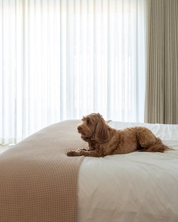 Images Budget Blinds of Central Pittsburgh and Fox Chapel