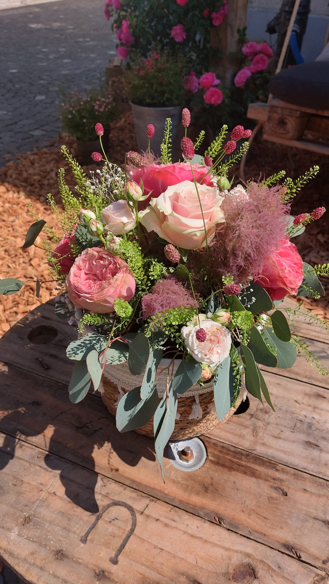 Bilder A la Rose d'Estavayer